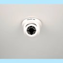 조이풀 피티샵 이미지