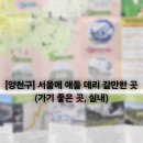 (주)에그투어 이미지