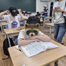 그림으로 이해하는 부수한자 | 전국한자능력검정시험_첫 번째 자격증 도전! 한국어문회 한자능력검정시험 6급 후기:)