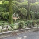 산촌버섯샤브샤브칼국수 이미지