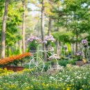 한림공원 이미지