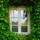 우주환경 노동조합 이미지