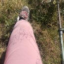 핑꾸옷장 이미지