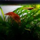 멍, 타임 이미지