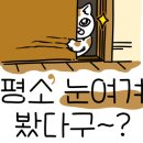 또보재이