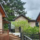 어비 포레스트 이미지