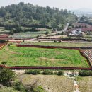 판포리 사무소 이미지