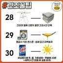 인정세탁소 Daum카페