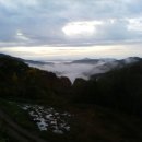 거기농장 이미지