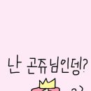 드림미용실 - 성주군 시장길 40 | 드림미용실