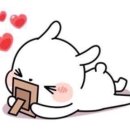 편강도원 이미지