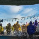 기장수산물체험홍보센터 이미지