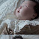 쿠름 이미지