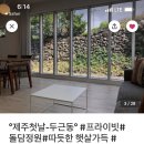 제주첫날두근 이미지