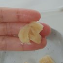 떠리팜 | 고양이간식: 올네이쳐 퓨어 치킨 70g 후기 (캐나다산 동결건조 간식)