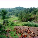 종천농장 이미지