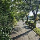 상예입구 이미지