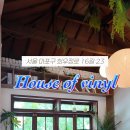 mangwon 23 이미지