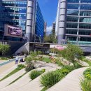 해바라기민박 이미지