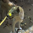 초록공원 이미지