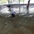 고암초등학교 | 우포늪 생태체험장 체험활동, 그리고 초1 엄마들의 첫 수업나눔
