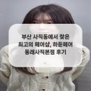 최고라헤어