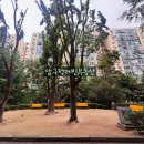 압구정-113 이미지