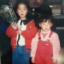 춘천실내빙상장 이미지