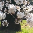 구두병원 이미지
