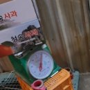 옥계청과 이미지