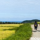 상복리장재터 네이버블로그
