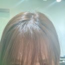 플랜에이치 대치역점 | 플랜에이치 대치역점 대치동 미용실 내돈내산 뿌리염색 재방문 후기