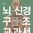 지음구조