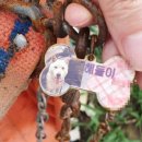 민원농장 이미지