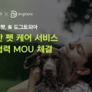 도그시장 이미지
