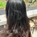 도연헤어 - 고양시 일산동구 | 도연헤어