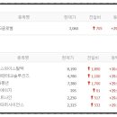 에스와이플렉스