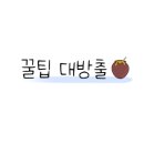 나 대관령왔어 이미지