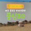 폴인80