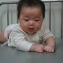 새승리식당 이미지