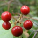 개인(개별)화물-3