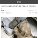 이와중에 자기 아들 탄원서나 돌리고 있는 인하대 가해자 부모 이미지