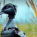 🇰🇷독도는 한국땅..우리나라 지키는 군인들의 군무 퍼포먼스~ 🆘️북한이 한국에 보낸 로봇 오리~ 이미지