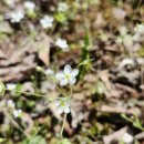 마실야영장 이미지