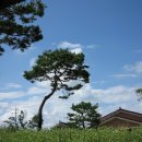 신태인119안전센터 이미지