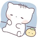 케이탑태권도 이미지