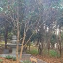 동광탕 (국민연금공단) 이미지