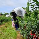 한근농장 이미지