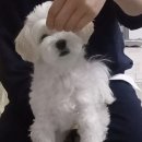 제제네멍치원(성내점) 이미지