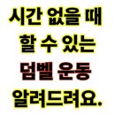 아이로운 태권도 | [고유헬스장 김해 장유 율하 재활 케어 PT 피티] 시간 없을 때 할수 있는 덤벨 운동 방법